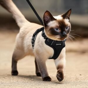 Reflective Cat Harness