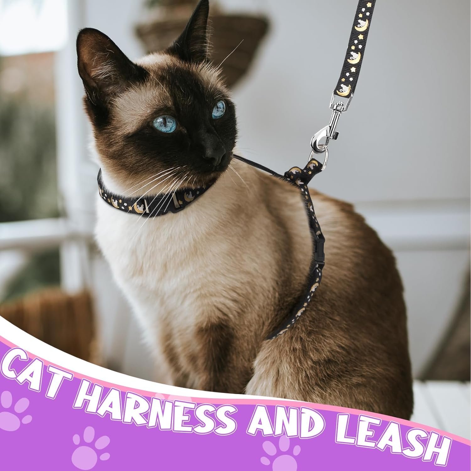 Glow Cat Harness & Leash Set