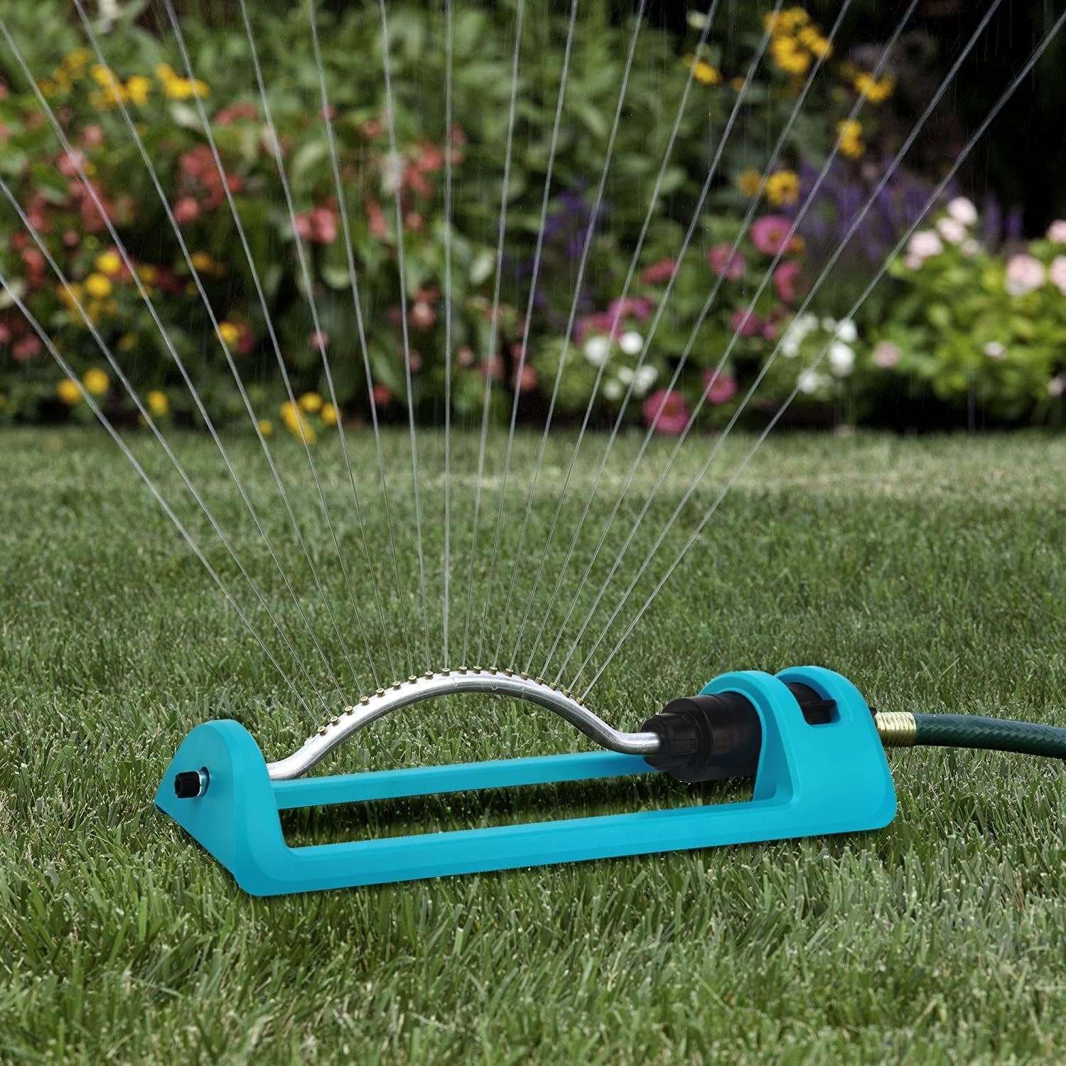 Oscillating Lawn Sprinkler