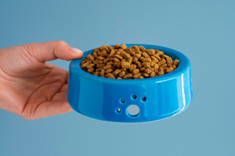 Slow Feeder Dog Bowl