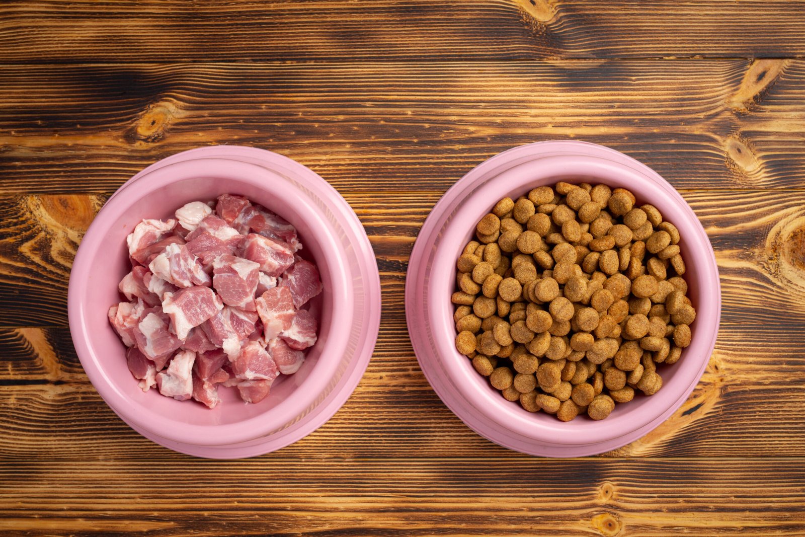 Raw Cat Food Diet