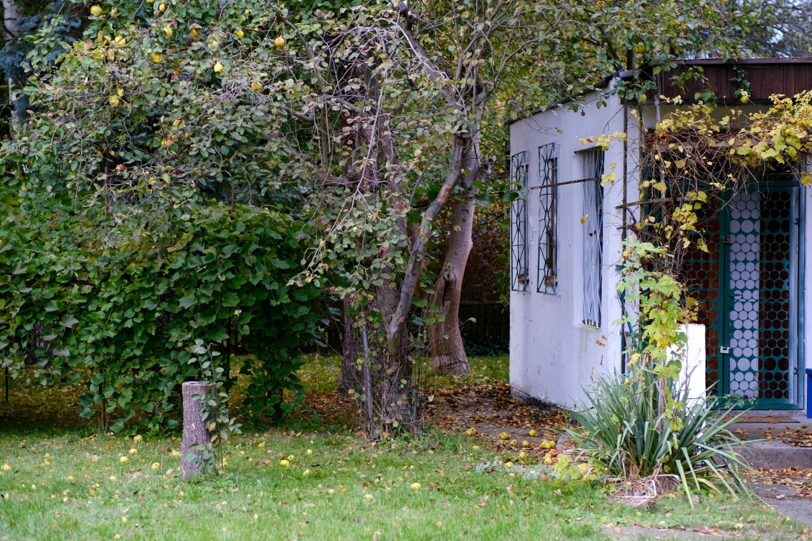 creative small garden ideas for urban balconies