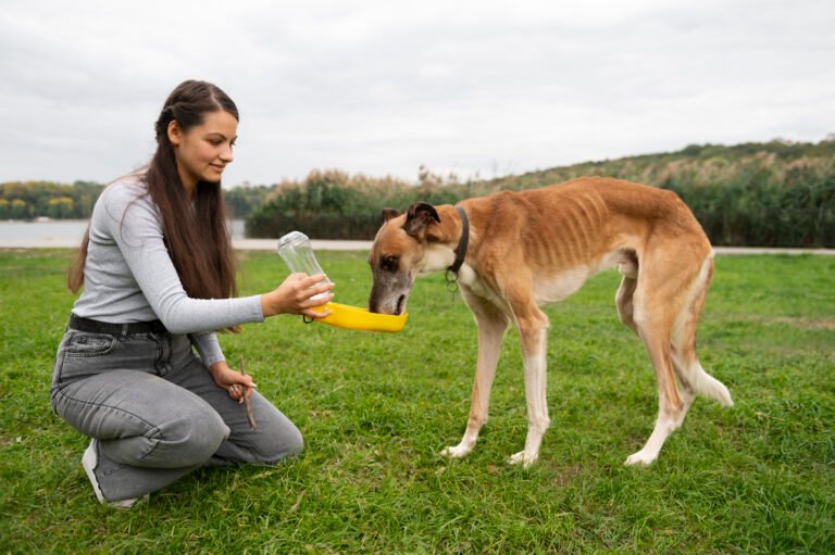 Portable Dog Water Bottle