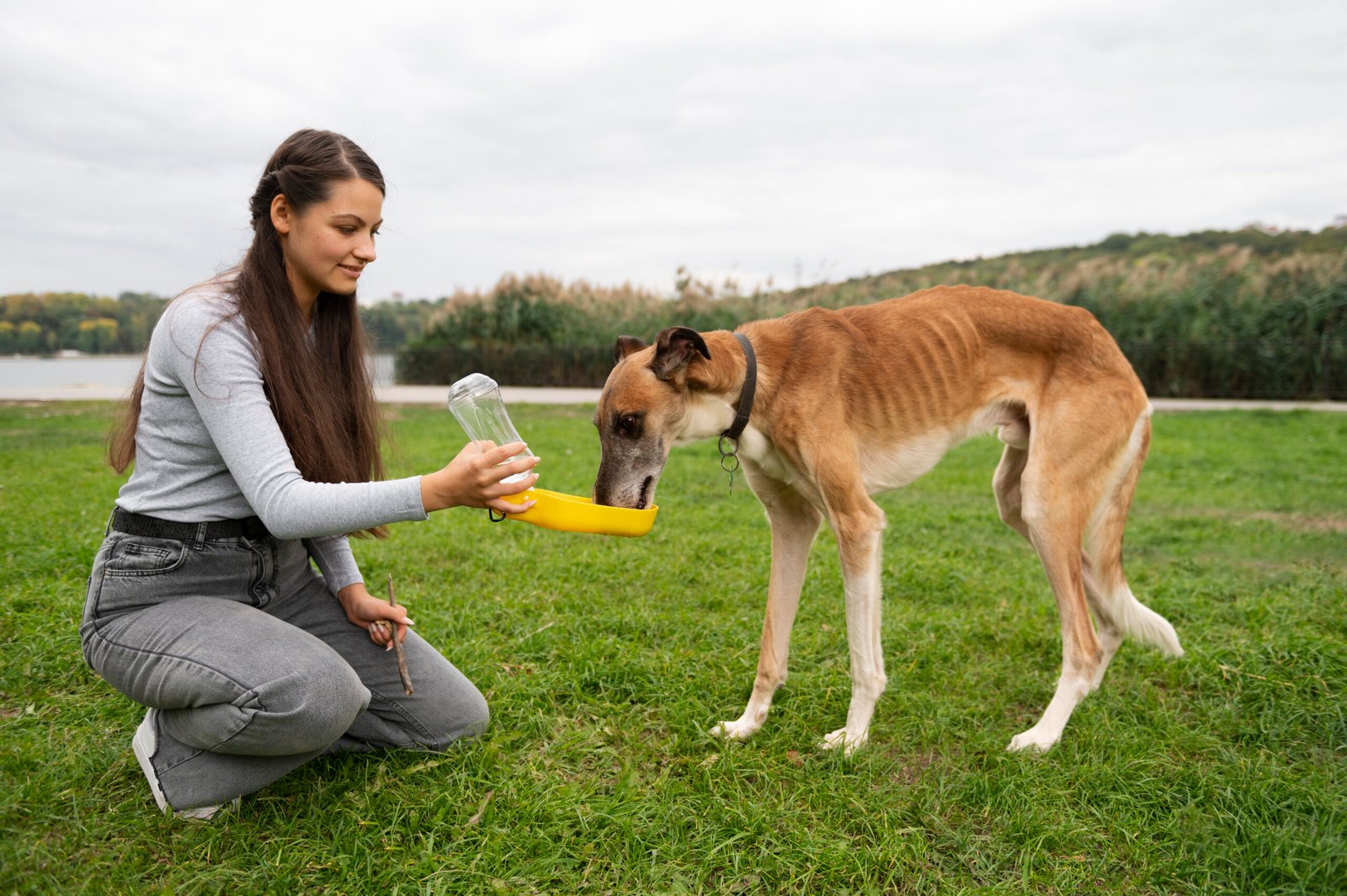 Portable Dog Water Bottle