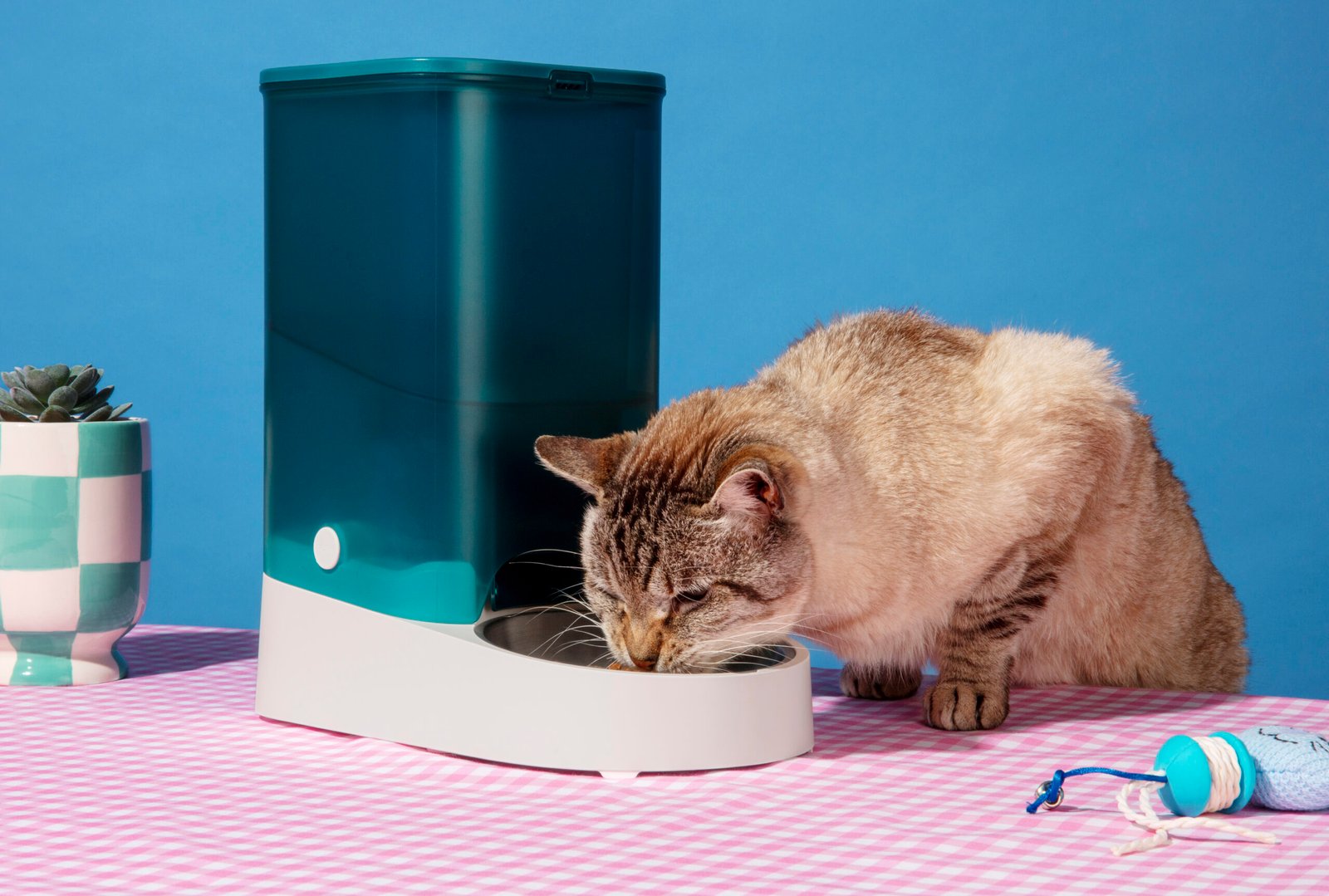 Cat Water Fountain: 7 Amazing Ways to Boost Hydration (Proven Guide) 1 Cat Water Fountain