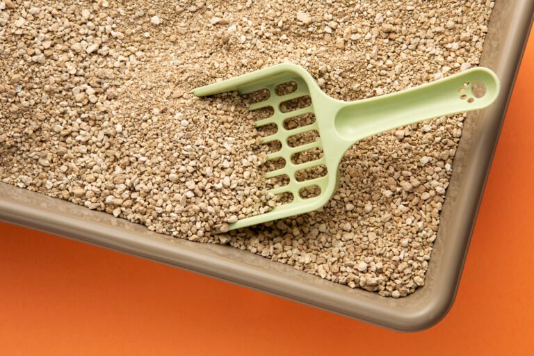 Self-Cleaning Litter Box